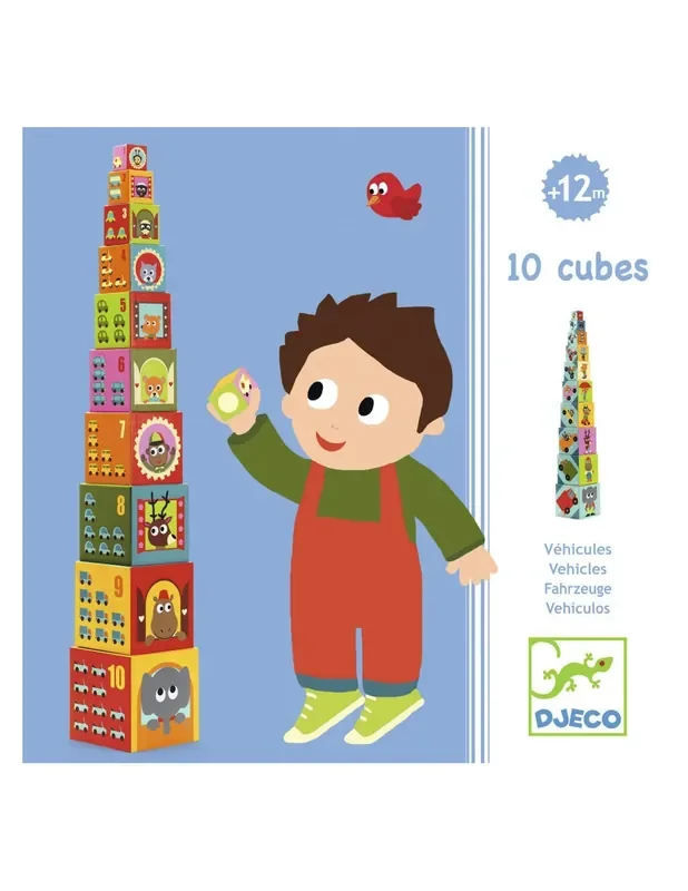10 Cubos vehículos