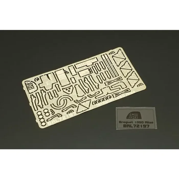 Accesorio Breguet 1050 Alize (diseñado para ser utilizado con kits Frrom-Azur)