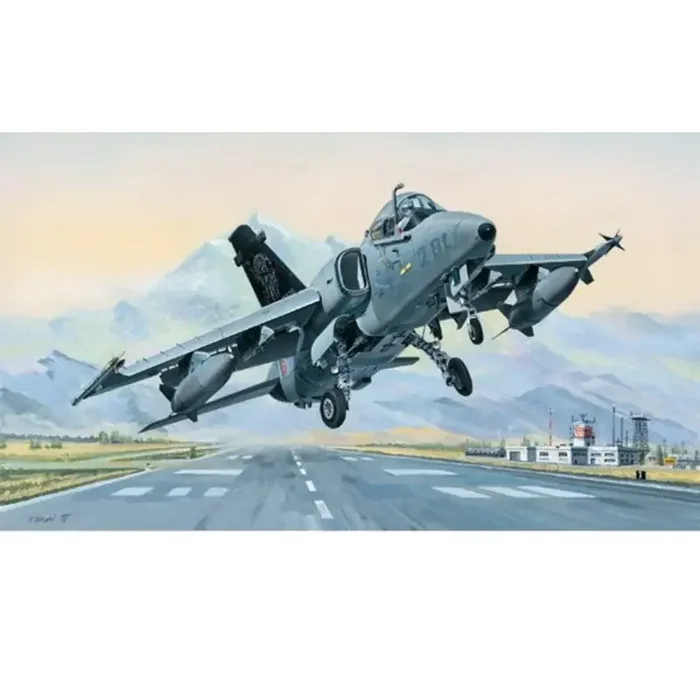 Maqueta AMX de ataque terrestre A.