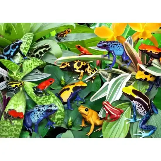 Puzzle Alipson Ranas Divertidas de 500 Piezas