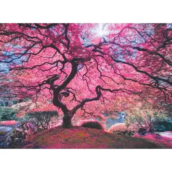 Puzzle Anatolian Arbol Rosa de 1000 Piezas
