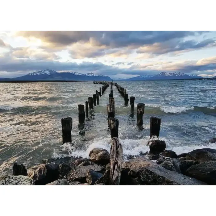 Puzzle Educa Jardín precioso de 1000 piezas